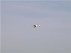 PICT1620.JPG